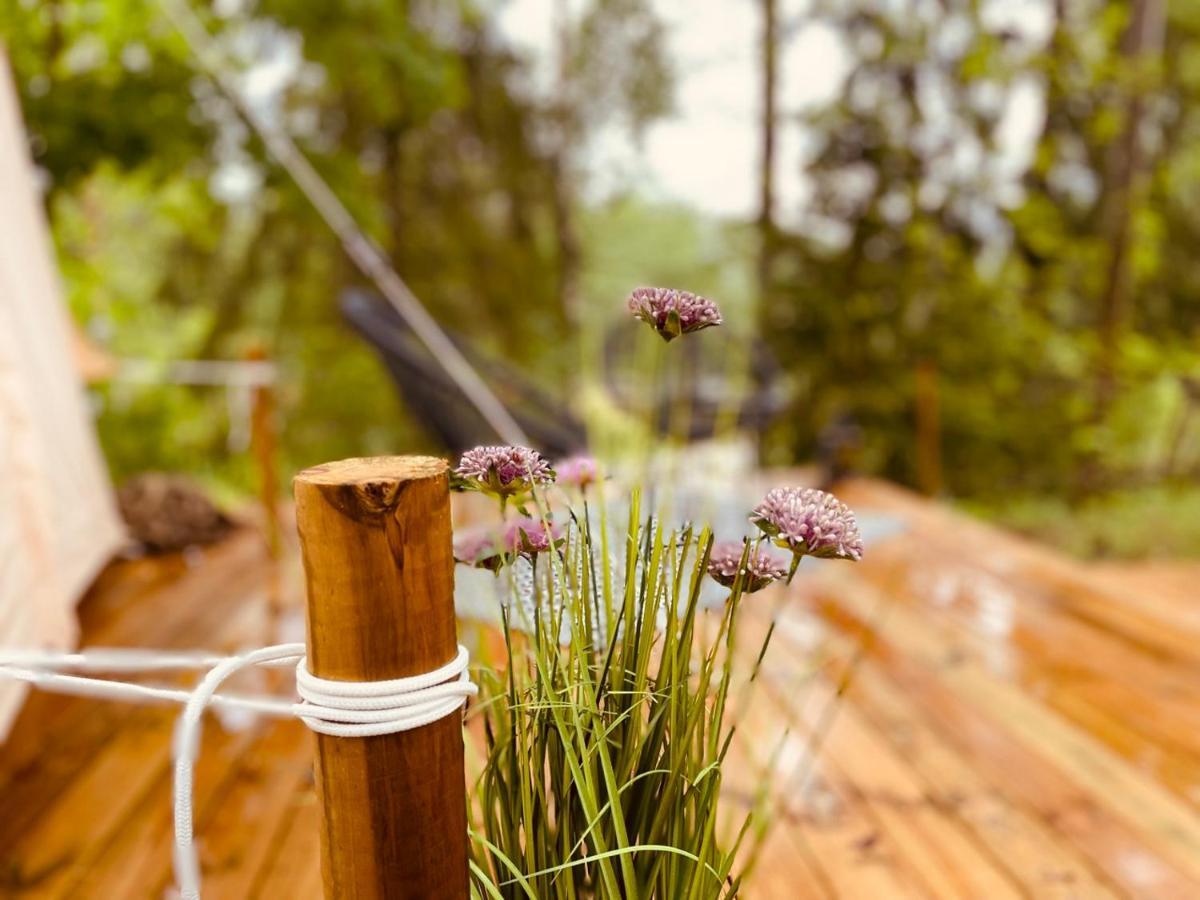 Tent Delhi A B&B In A Luxury Glamping Style Mariefred Eksteriør billede